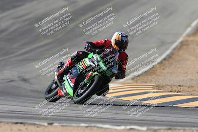 media/Feb-02-2025-Race Pace (Sun) [[84aa3aff12]]/1-Verified/4-Turn 10 Tip In (1025am)/